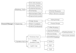 Ipe Organization Chart