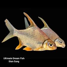 Image result for Cyphia richardsiae