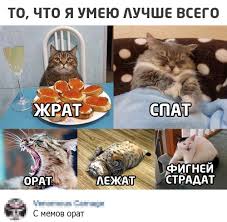 Миланчик Треквартиста | ВКонтакте