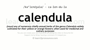 Pronunciation of rhodendron calendulaceim with 1 audio pronunciation and more for rhodendron calendulaceim. Pronunciation Of Calendula Definition Of Calendula Youtube