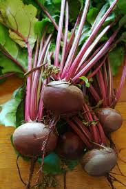 But, if you have blood in your urine, see a doctor. Beetroot Wikipedia