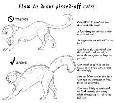 An example is shadowclan from the warrior cat's series. Pin On Drawing