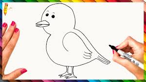 pin on bird drawings