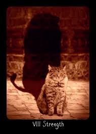 The strength card represents internal bravery. Strength Tarot Card Meanings