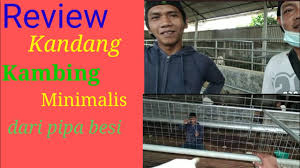 Kami menjual pupuk kambing dengan kemasan karung: Kandang Kambing Minimalis Awistaros Blog Eksotisme Kandang Kambing Portable Karena Hal Ini Sangat Sering Terjadi Dan Dialami Oleh Mereka Yang Akan Memulai Usaha Ternak Kambing Domba Geni Nuris
