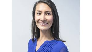 Council members push administration for specifics about how it would spend  lava recovery funds