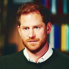 Prince Harry Has More to Say About His 'Todger'