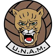 Dirección general de servicios generales y movilidad, unam. Pumas Unam Wiki Futbol Amino Amino