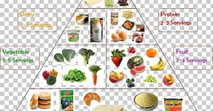 Vegetarian Cuisine Food Group Chart Diet Png Clipart Chart