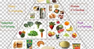 vegetarian cuisine food group chart diet png clipart chart