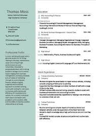 Cv Writing Services The Cv Centre In 2020 Simple Cv Template Cv Template Cv Design Template