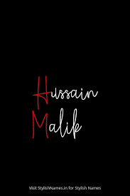 Hussain Malik