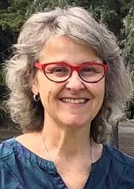 Council Elections 2020