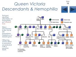 Queen Victoria And Hemophilia Family Tree Hemophilia T
