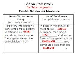 Amoeba sisters alleles and genes video recap answer key. The Study Of Genes Traits And Heredity Ppt Download