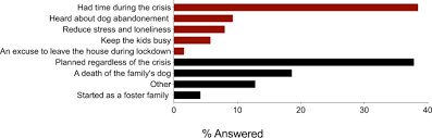 It is so hard for the animals, says one shelter employee working to match dogs with temporary homes. Human Dog Relationships During The Covid 19 Pandemic Booming Dog Adoption During Social Isolation Humanities And Social Sciences Communications