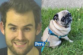 🚨 Estados Unidos: Hombre mató a perrito de mujer que lo rechazó  sentimentalmente ➡️ Joseph Hillard fue arrestado luego de asesinar a la  mascota de Chyanne Callender, una mujer que conoció a