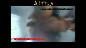 Luna - Fill Me Up (promo remix) - BestialitySexTaboo - Bestiality Sex Taboo