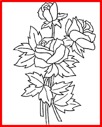 130 fotos de hermosos ramos de flores en alta resolución. Imagenes De Ramos De Rosas Para Dibujar Novocom Top