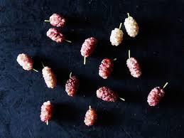 The tree you suggest has white fleshy drupes that turn red/black when ripe, a drupe is not like a blackberry fruit i dont think. All About Foraged Fruit How To Find And Use Mulberries