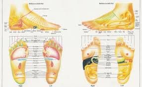 Reflexology Practitioners Believe That A Properly Executed