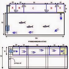 Desain aquarium air tawar berbentuk bulat. Skema Filter Aquarium Dari Talang Air Edusiana