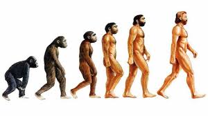 عودة   الى   الحيوان …