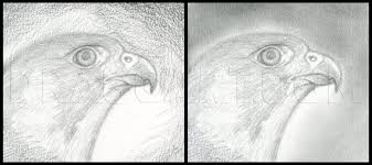 How To Draw A Falcon Head Peregrine Falcon Step By Step Drawing Guide By Finalprodigy Dragoart Com Peregrine Falcon Guided Drawing Peregrine آموزش نقاشی برای کودکان how to draw a cat easy step by step. how to draw a falcon head peregrine