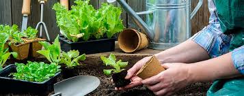 Principles of permaculture, emulating nature Permaculture A Positive Response To The Environmental Crisis