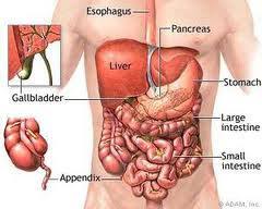 Sakit ataupun pedih ulu hati adalah kesakitan ataupun rasa tidak selesa yang berlaku pada bahagian di antara dada dan juga abdomen. Kenali Penyebab Nyeri Pada Ulu Hati Dan Cara Mengobatinya Teh Herbal Untuk Mencegah Gastritis