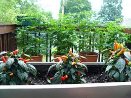 Growing a sustainable garden doesn't cost a lot either. Gardening In Small Spaces Umn Extension