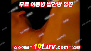 Watch 3225 오빠 남매끼리 이러면 안되잖아 이러면서 보지 존나 만지네 ㅋㅋㅋ 텔레 USB74 - Bj, Korea, Korean  Porn - SpankBang