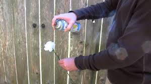 We did not find results for: Spray Painting Flowers Youtube