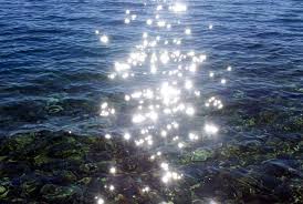 Gaststätte haus am see gmbh, lingenfeld, im naherholungsgebiet 1, 67360 lingenfeld.gesellschaft mit beschränkter haftung.gesellschaftsvertrag vom 23.03.2010. Todlicher Badeunfall Am Baggersee Lingenfeld Pfalz Express