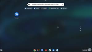 More detailed information can be found in the publisher's privacy policy. How To Remove Apps From Chromebook Getfastanswer Com