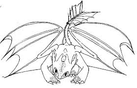 Find more coloring pages online for kids and adults of night fury baby toothless dragon coloring pages to print. Night Fury White Dragon Coloring Pages Novocom Top