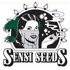 Sensi seeds has pioneered the cannabis seed industry in 1985 to become the world's largest cannabis seedbank their genetics and the brand name have become true classics in the cannabis community. Sensi Seeds Tv Youtube
