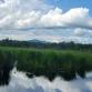 Nature Therapy with Winding Willow Gatherings