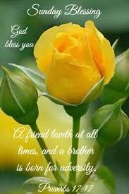  Pin By Jo Ann On Blessings Happy Sunday Quotes Blessed Sunday Weekend Greetings