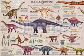 sauropods educational dinosaur science chart poster