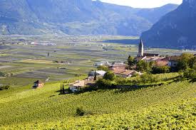 A few reasons why you should spend your holidays in south tyrol. Sudtirol Alto Adige Wine Region Guide