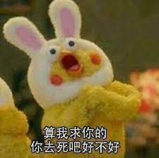 pin by 銀育郭on humor photo cute icons kittens cutest memes