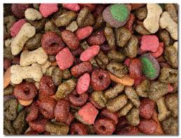 Great selection fish and lizards. Choosing The Right Dog Food For A Chihuahua