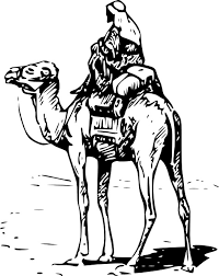 The best selection of royalty free cartoon man riding camel vector art, graphics and stock illustrations. Person Riding Camel Clip Art Free Vector In Open Office Drawing Svg Svg Vector Illustration Graphic Art Design Format Format For Free Download 201 20kb