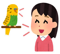 インコに言葉を教える人のイラスト | かわいいフリー素材集 いらすとや