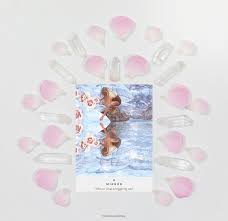 Kun käyttäjä twiittaa, twiitit näkyvät täällä. Mirror Rebecca Campbell