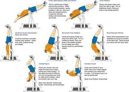 Pin On Back Exercise