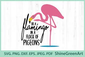 Download Summer Flamingo Svg Free Svg Cut Files Create Your Diy Projects Using Your Cricut Explore Silhouette And More The Free Cut Files Include Svg Dxf Eps And Png Files