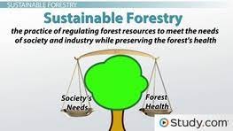 Environmental Sustainability Definition And Application Science Class 2021 Video Study Com