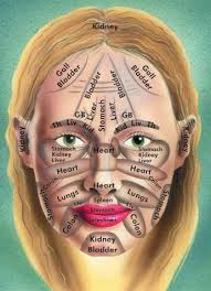 Chinese Face Map And Body Health Eruptingmind